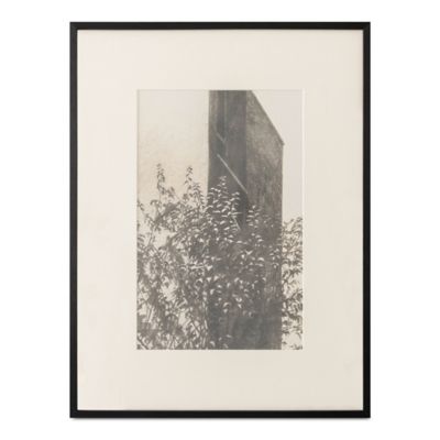 Zavianne 2 Wall Art