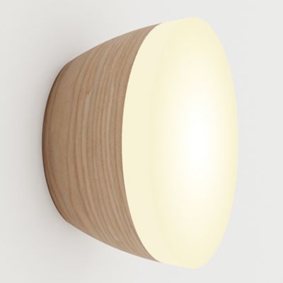 Berm Acrylic LED Wall/Ceiling Light