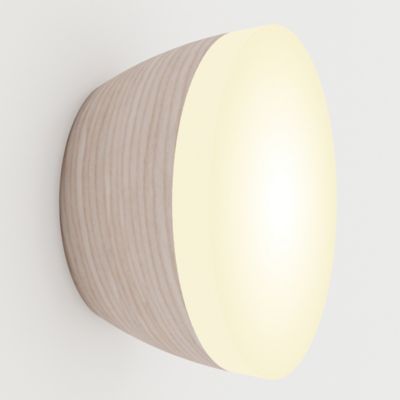 Berm Acrylic LED Wall/Ceiling Light