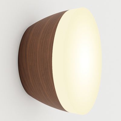 Berm Acrylic LED Wall/Ceiling Light