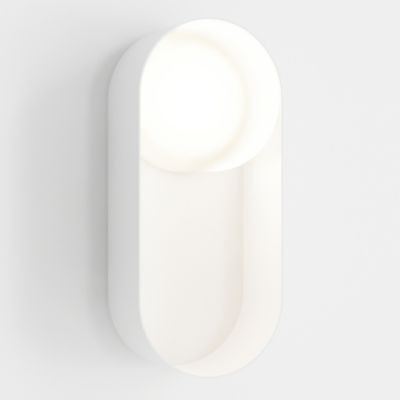 Oyster LED Wall Sconce