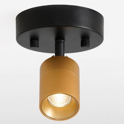 Ciero LED Spotlight