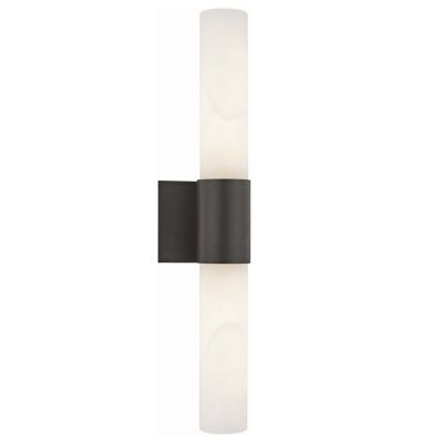 Barkley 2-Light Tall LED Wall Sconce