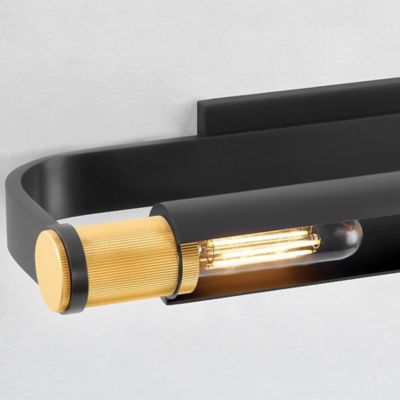 Elm Park Picture Light