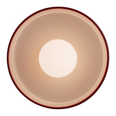 Disc Surface Outdoor Wall Sconce