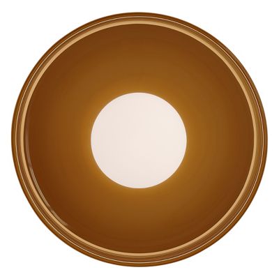 Disc Surface Outdoor Wall Sconce