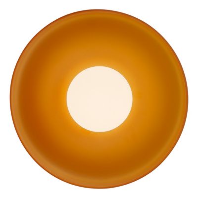 Disc Orb Wall / Flushmount