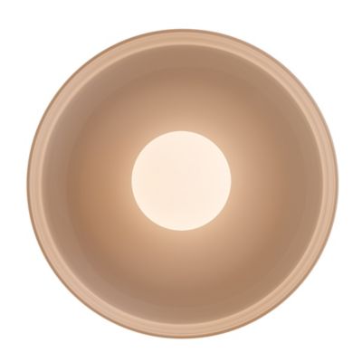 Disc Orb Wall / Flushmount