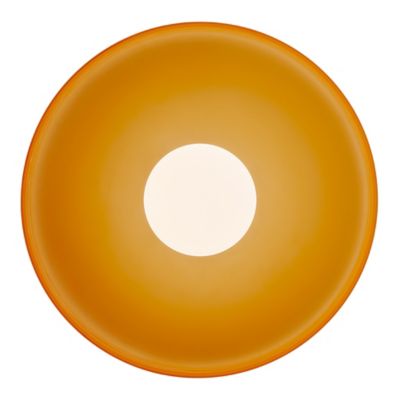 Disc Orb Wall / Flushmount