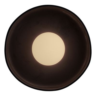 Ceramic Disc Outdoor Wall / Flushmount