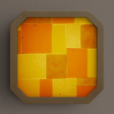 Strata LED Wall / Flushmont