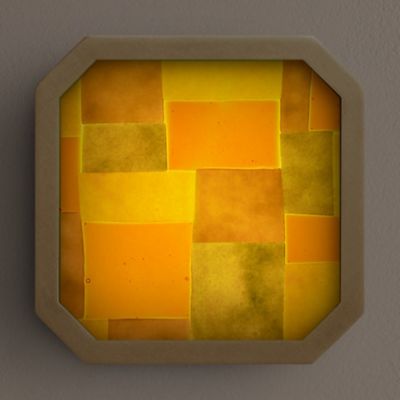 Strata LED Wall / Flushmont
