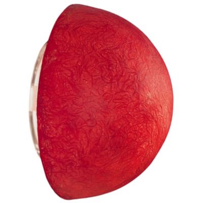 Button Ceiling/Wall Sconce