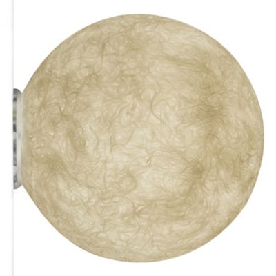 A.Moon Outdoor Wall Sconce