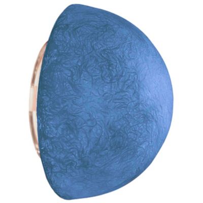 Button Outdoor Ceiling/Wall Sconce