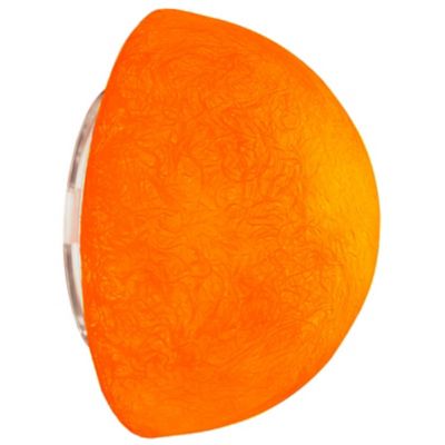 Button Outdoor Ceiling/Wall Sconce