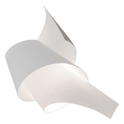 Oop's 2 Wall Sconce