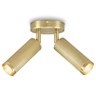 Spot Double Semi-Flushmount