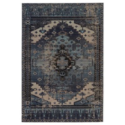 Cicero Polaris Indoor/Outdoor Area Rug