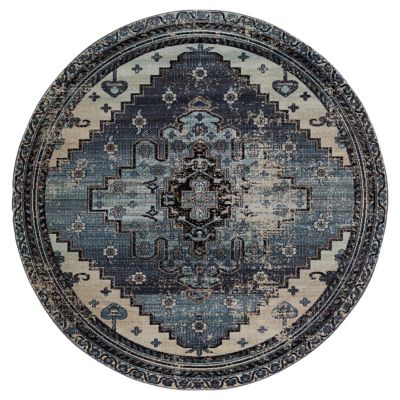 Cicero Polaris Indoor/Outdoor Area Rug