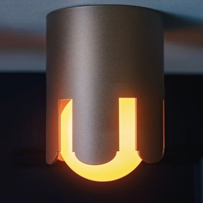 Big Crown Surface Flushmount