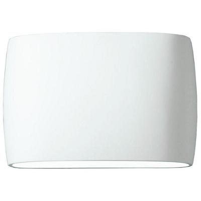 Ambiance Oval Outdoor Downlight Wall Sconce