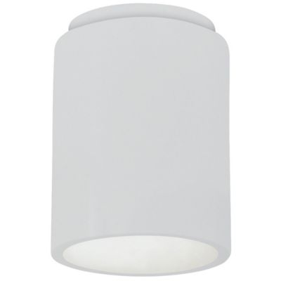 Radiance Outdoor Flushmount