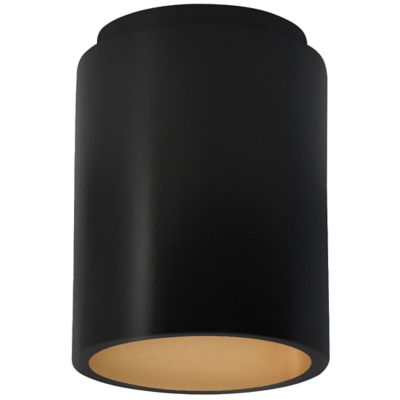 Radiance Outdoor Flushmount