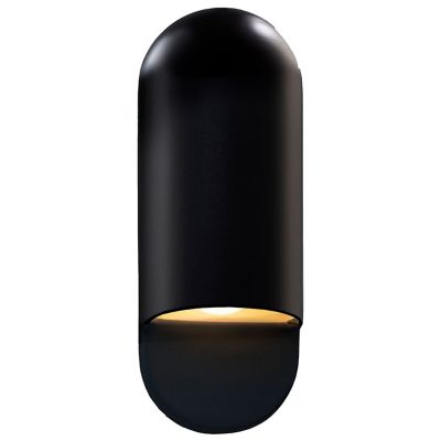 Ambiance Capsule ADA Outdoor Wall Sconce