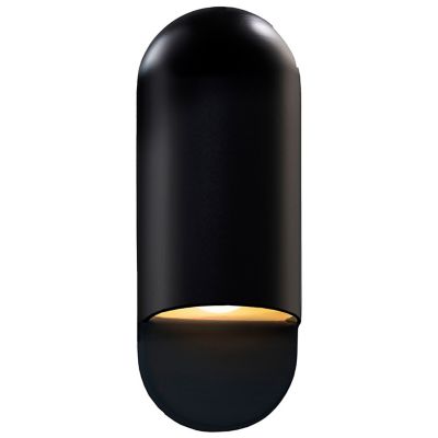 Ambiance Capsule ADA Outdoor Wall Sconce