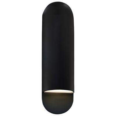 Ambiance Capsule ADA Outdoor Wall Sconce