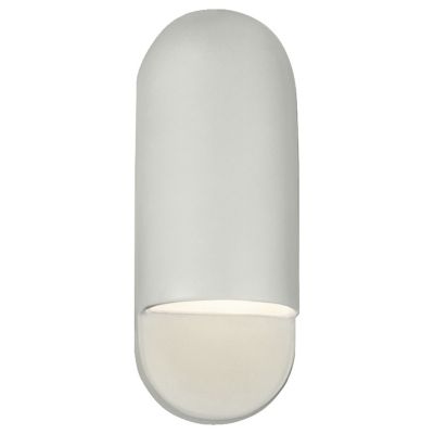 Ambiance Capsule ADA Outdoor Wall Sconce