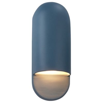 Ambiance Capsule ADA Outdoor Wall Sconce