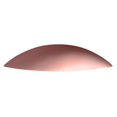 Ambiance Ceramic Downlight Outdoor Wall Sconce