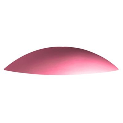 Ambiance Ceramic Downlight Outdoor Wall Sconce