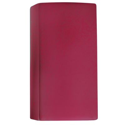 Ambiance LED Outdoor Wall Sconce
