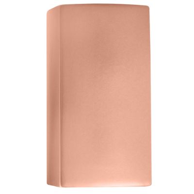 Ambiance LED Outdoor Wall Sconce