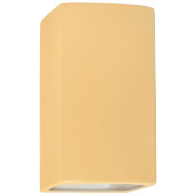 Ambiance LED Outdoor Wall Sconce