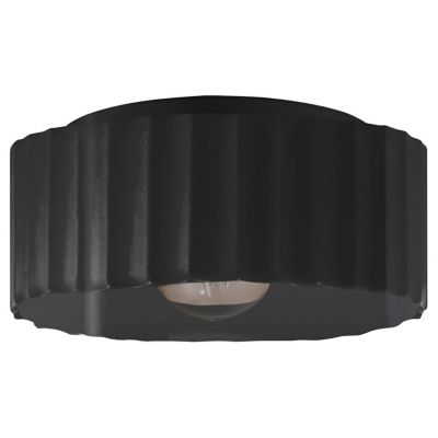Radiance Gear Outdoor Flushmount