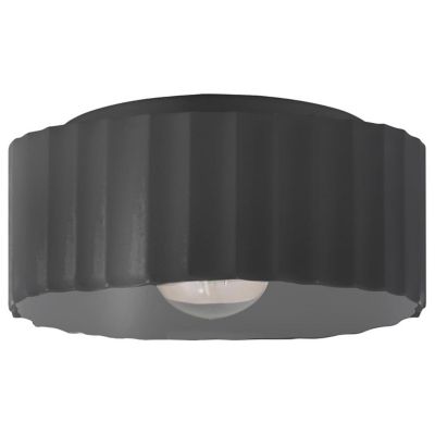 Radiance Gear Outdoor Flushmount