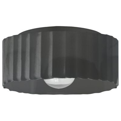 Radiance Gear Outdoor Flushmount