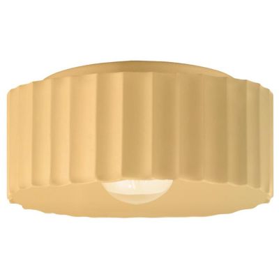 Radiance Gear Outdoor Flushmount