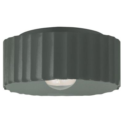 Radiance Gear Outdoor Flushmount