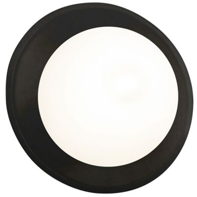 Mini Coupe Wall Sconce