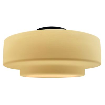 Radiance Tier LED Semi-Flsuhmount