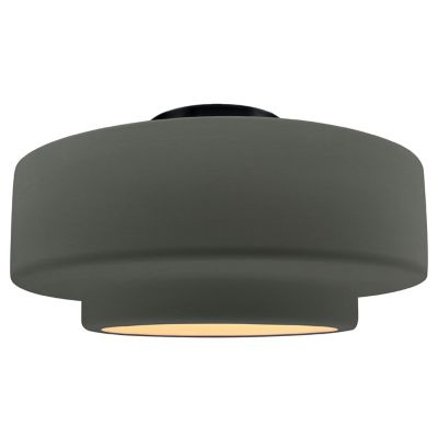 Radiance Tier LED Semi-Flsuhmount