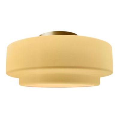 Radiance Tier LED Semi-Flsuhmount