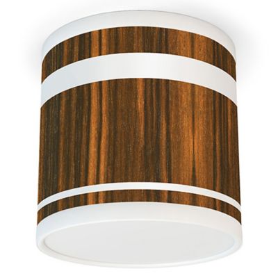 Band Tube Flushmount