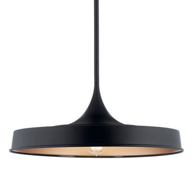 Elias Convertible Pendant / Semi-Flushmount