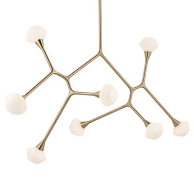 Cassius Convertible 8 Light Chandelier